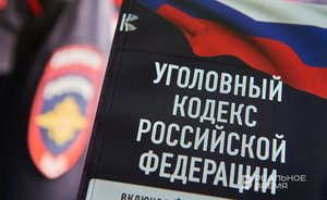 «Дело Чекалиных и Митрошиной — это сигнал рынку блогинга, что пришло время легализоваться»
