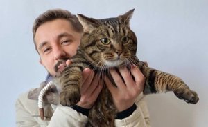 «Ак Барс Страхование» подарило годовой полис коту Виктору