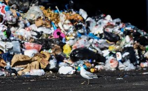 «Мы писали: регоператор не работает» — как власти Верхнего Услона подвел полигон-долгострой