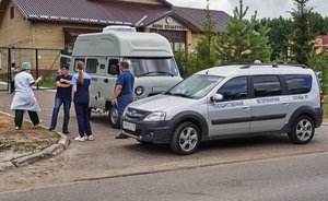 Ветеринары хотят победить бродячих псов мобильностью
