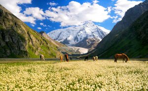 Рафаэль Хакимов: «Киргизия превращалась в перевалочную базу экспорта афганских наркотиков»