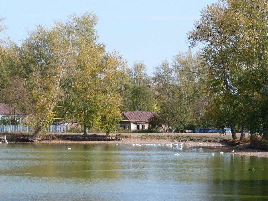 Новый Баллыкуль