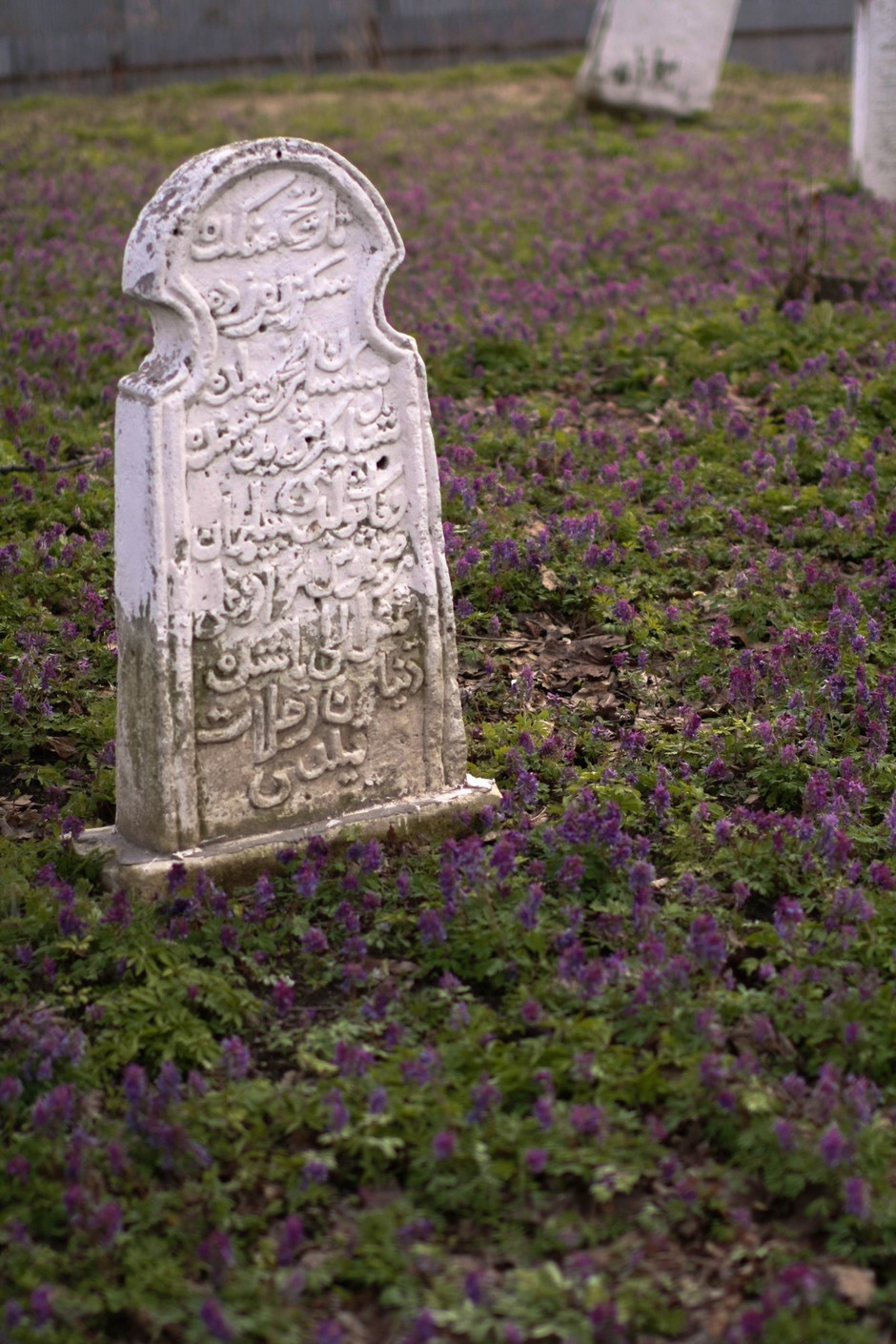 Мусульманское кладбище