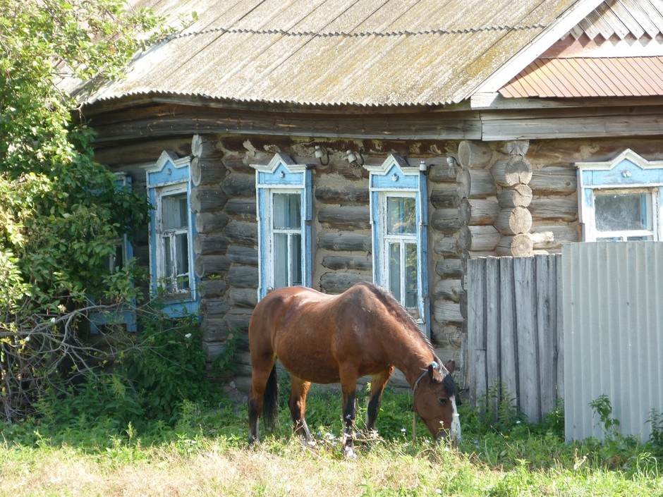 Степная Шентала