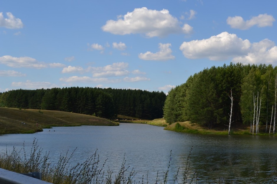 Озеро около д.Мамыш