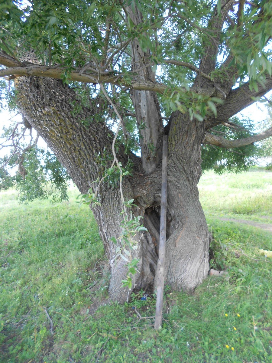 Татарское Тюгульбаево