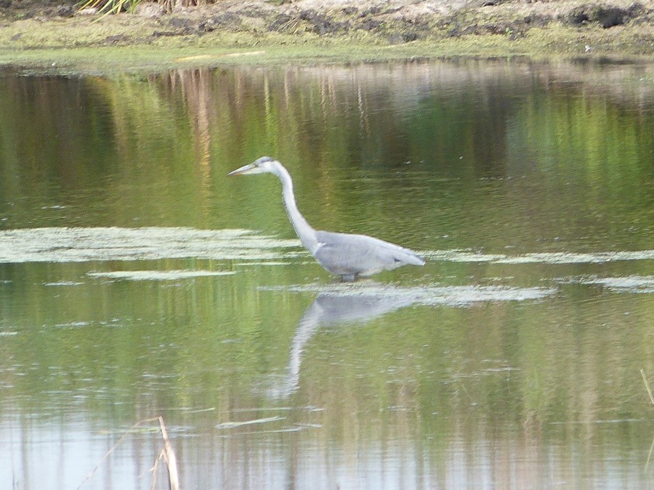 Новое Демкино