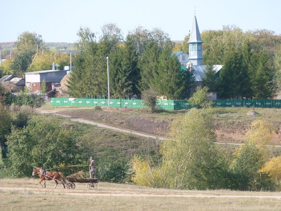 Старые Салманы