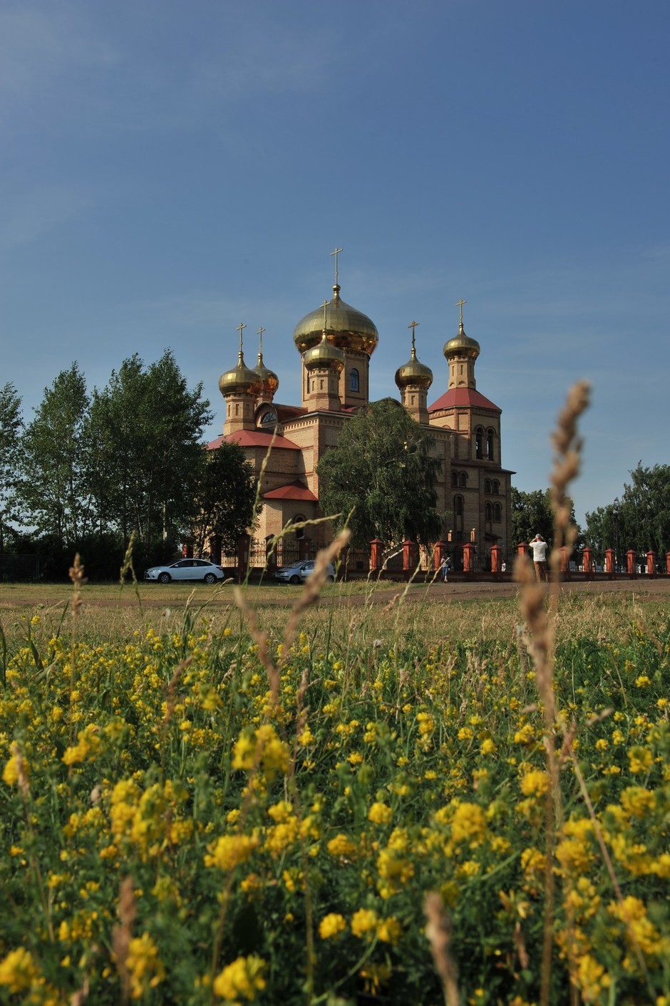 Алексеевское татарстан республика. Алексеевское Татарстан. Алексеевское Татарстан природа. Алексеевское Волжский район храм. Алексеевский район Татарстан достопримечательности.