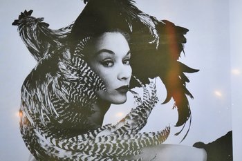 Модные квадроберы XIX—XX веков: как мода перестала быть только человеческой