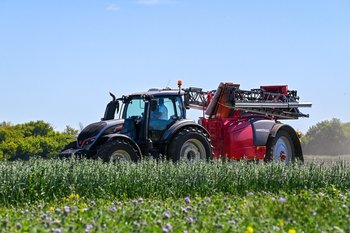 Экспорт продукции АПК из Татарстана вырос на 14%