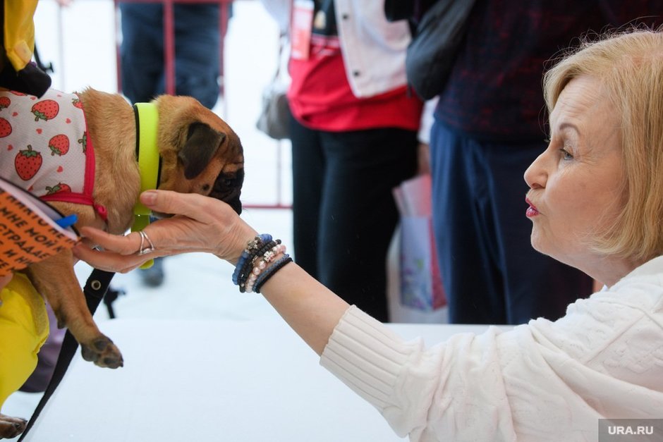 В России предложили ввести учет и маркировку домашних животных