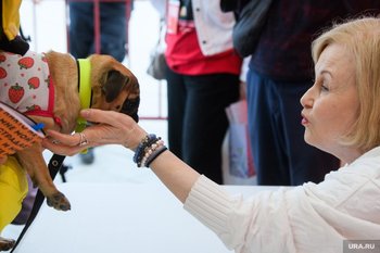 В России предложили ввести учет и маркировку домашних животных