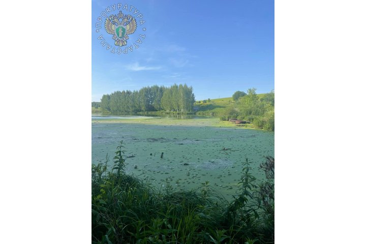 Прокуратура Пестречинского района проверяет массовую гибель рыбы в озере возле СНТ «Шемелка»