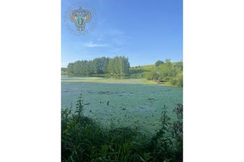 Прокуратура Пестречинского района проверяет массовую гибель рыбы в озере возле СНТ «Шемелка»