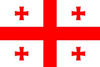 Парламент Грузии запретил зарубежные избирательные участки