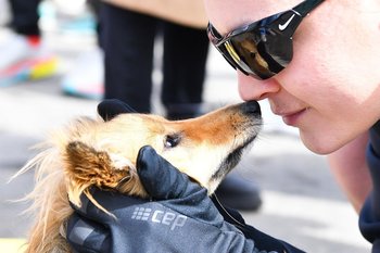 Бесплатные занятия для собак пройдут в парках Казани в сентябре