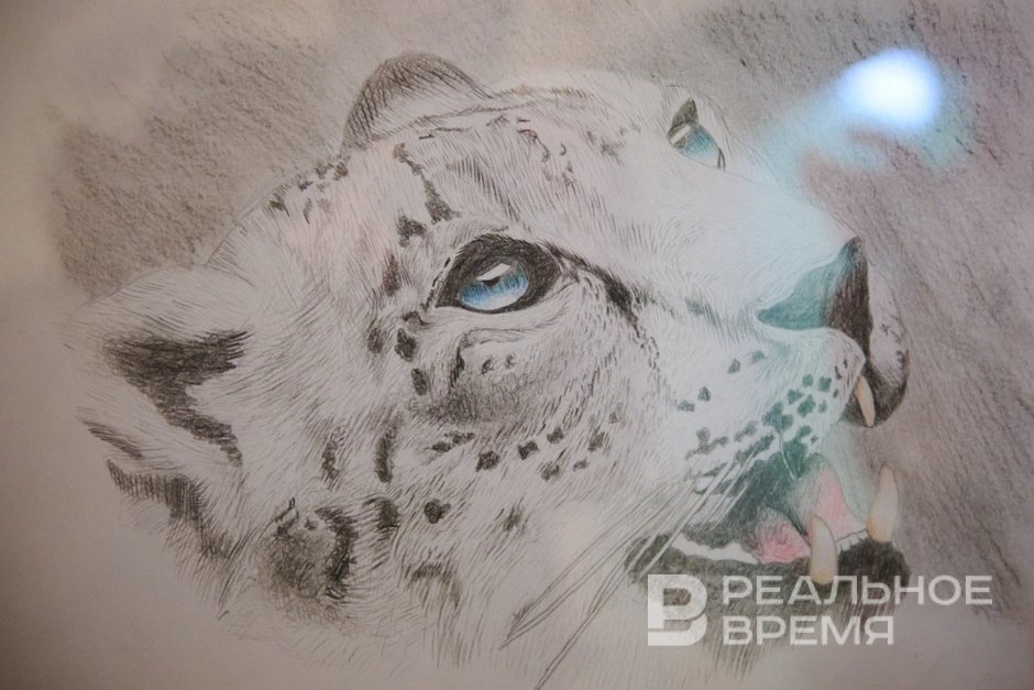 ТАИФ включился в работу по сохранению и восстановлению популяции снежного барса