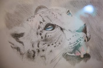 ТАИФ включился в работу по сохранению и восстановлению популяции снежного барса