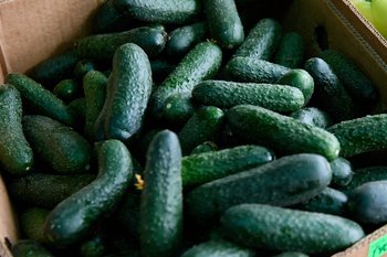 Огурцы стали самым подорожавшим продуктом в Татарстане