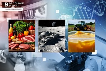 Кирпичи из лунной пыли, морской огурец против рака, сало против ржавчины