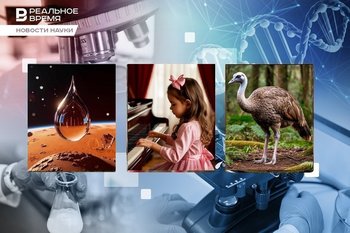 Ученые воскресят птицу моа, внуки спасут бабушек от деменции, музыкальная школа улучшит жизнь