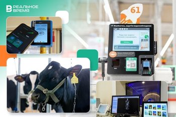 Умное доение, ИИ-диагност, цифровой кондуктор: 7 кейсов цифровизации в Татарстане