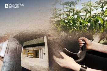 Новое в марте: единые сроки оплаты ЖКУ, вывески без иностранных слов и локализация такси