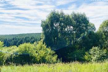 В Татарстане ожидается пожароопасность четвертого класса