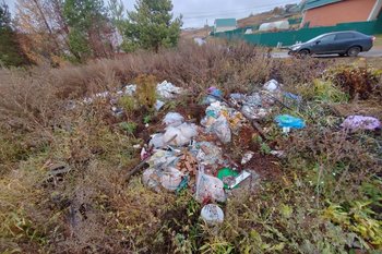 В Алексеевском районе Татарстана ликвидировали пять несанкционированных свалок