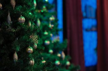 Более 2,5 тысячи сотрудников обеспечат безопасность новогодних праздников в Татарстане