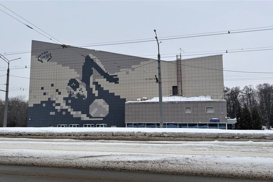 На стене бассейна МБУ «СОК» Казань» появился мурал, посвященный водному поло