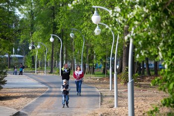 Мэр Казани призвал жителей требовать от управляющих компаний решить проблему тополиного пуха