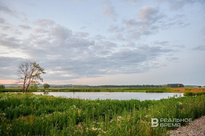 В Татарстане пруд вернули в федеральную собственность после незаконной аренды