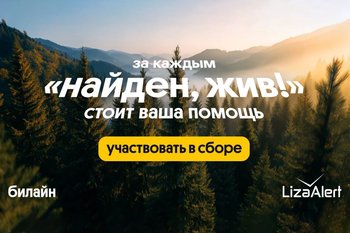 В 2025 году спасательный отряд «ЛизаАлерт» при поддержке Билайна нашел и спас 660 пропавших татарстанцев