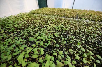 Казанский ГАУ создал опрыскиватель нового типа