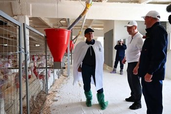 Рустам Минниханов оценил модернизацию Лениногорской птицефабрики