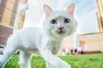 Метеоролог: Татарстан ждет похолодание в конце недели после «бабьего лета»