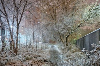 По всей России ожидаются сильные морозы до минус 51 градуса