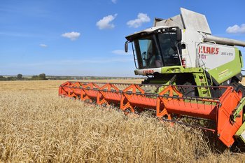 Требования кредиторов к агрофирме «Верхний Услон» превышают 250 миллионов рублей