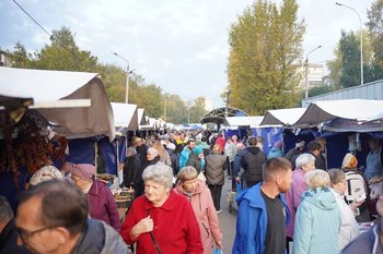 На сельхозярмарки Татарстана завезли продукции на 217,1 млн рублей