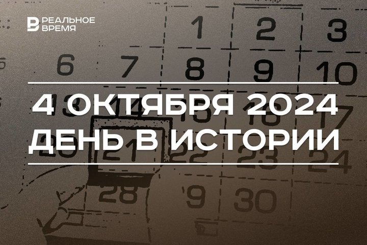 Самые смешные истории за 2024 год!