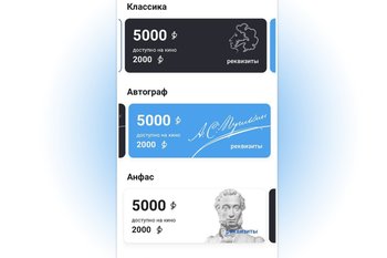 Трое предпринимателей приговорены к тюремным срокам за хищение средств «Пушкинской карты»