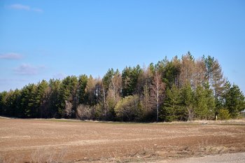 В Татарстане к концу мая завершили 94% посевной кампании