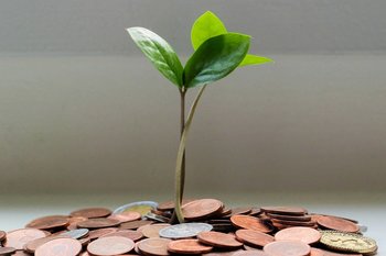 В Минфине Татарстана объяснили, как сформировать подушку финансовой безопасности