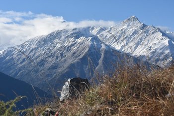 Снежные вершины Кавказских гор, древние башни и бурная Асса