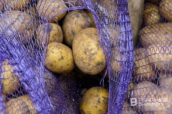 Минсельхоз: «перекосов» в ценах на картофель в России не ожидается