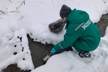 Канализационный слив нанес ущерб почве в Елабуге — превышение норм в 24 раза