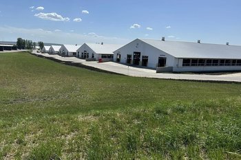 В Мензелинском районе Татарстана построили ферму на 6,4 тыс. голов КРС