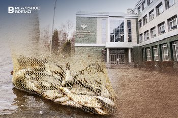 Львиную долю рыбных промыслов в Татарстане «поделили» три компании